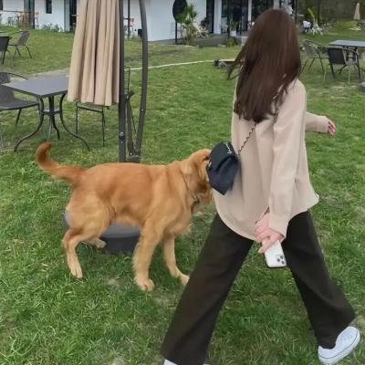 杀人蕃茄回归